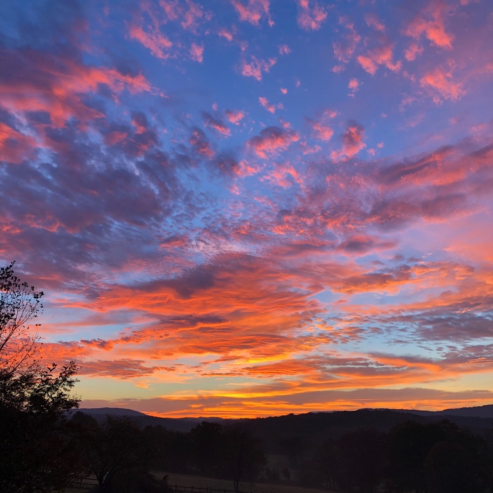 Meet your Posher, Meredith